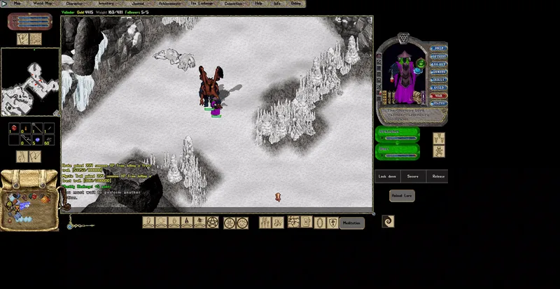 UO Enigma Summoner Gameplay Video