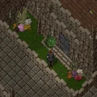 Project on UO Outlands Discussed